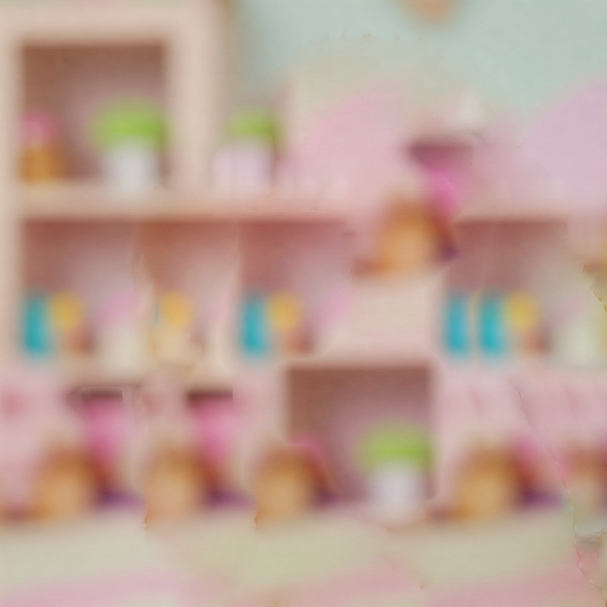Poodle on the phone - background
